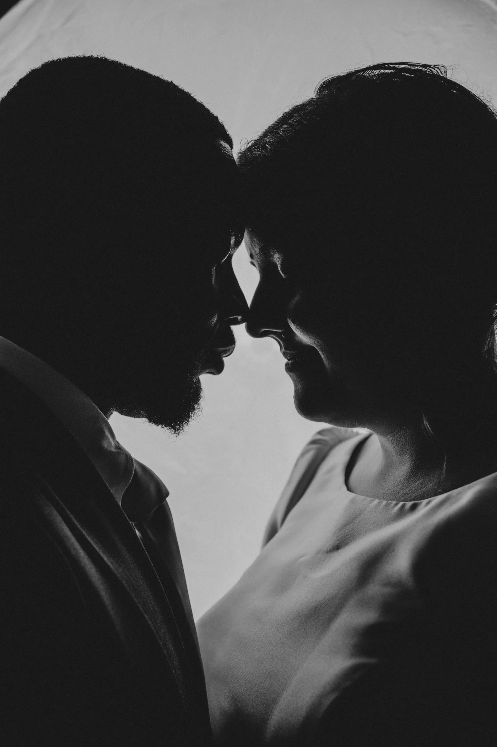 Silhouette of Cassandra and Jonathan nose to nose against the sky at Chapel Farm Estate