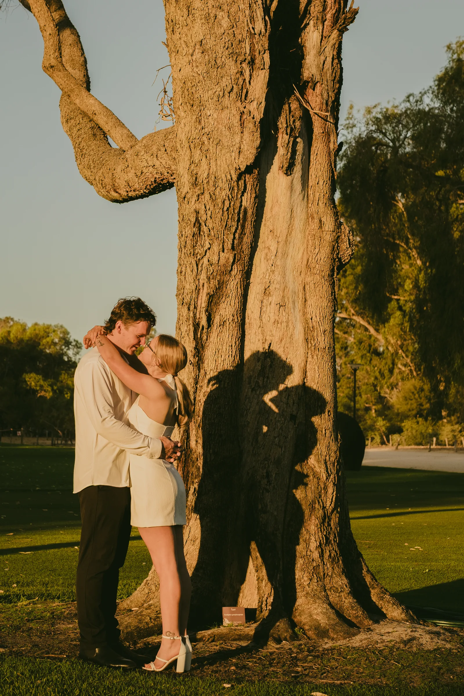 Kayla and Brett embracing beneath a large tree at Kings Park, warm silhouette light