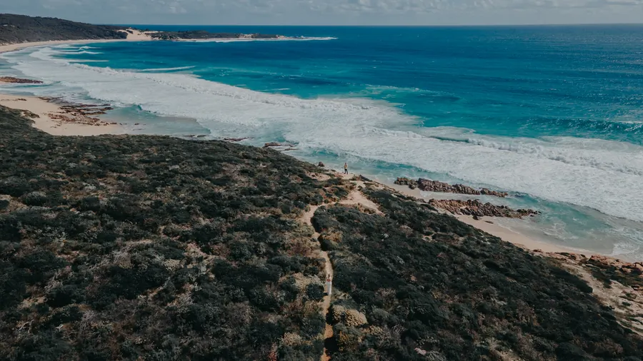 Aerial drone view of turquoise water and white sand at Injidup Beach, with Victoria and Luck tiny on the clifftop path far below